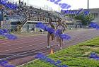 kalamata_556