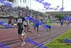 kalamata_658