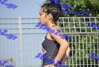 orsippeia_229