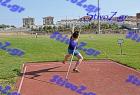 orsippeia_233