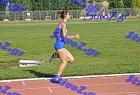 orsippeia_246
