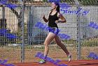 orsippeia_252