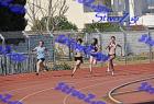 orsippeia_261