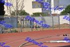 orsippeia_272