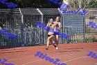 orsippeia_281