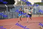 orsippeia_283