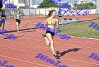 orsippeia_286