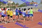 orsippeia_302