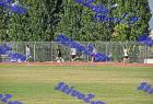 orsippeia_310