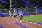orsippeia_311