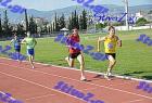 orsippeia_319