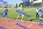 orsippeia_320