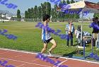 orsippeia_323