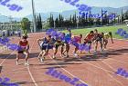 orsippeia_334