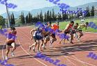 orsippeia_335