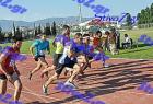 orsippeia_336