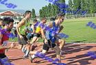 orsippeia_337