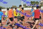 orsippeia_338