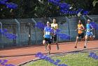 orsippeia_340