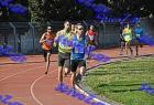 orsippeia_343