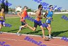 orsippeia_348