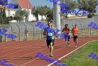 orsippeia_352