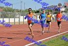 orsippeia_356