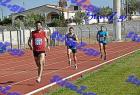 orsippeia_359