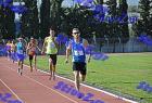 orsippeia_362