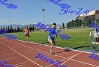 orsippeia_368