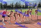 orsippeia_379
