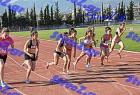 orsippeia_381