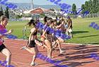 orsippeia_382