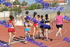 orsippeia_384