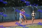 orsippeia_386