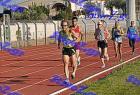 10km_101