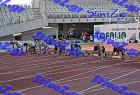 patra_0245