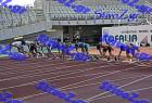 patra_0247