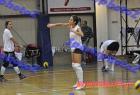 papagos-pallini-11