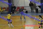 papagos-pallini-153