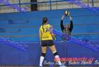 papagos-pallini-22