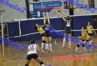 papagos-pallini-264