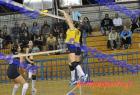 papagos-pallini-344
