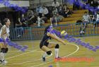 papagos-pallini-357