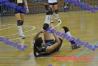 papagos-pallini-363
