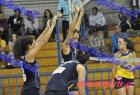 papagos-pallini-364