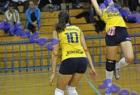 papagos-pallini-369