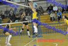 papagos-pallini-376