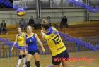 papagos-pallini-385