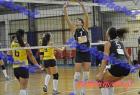 papagos-pallini-42